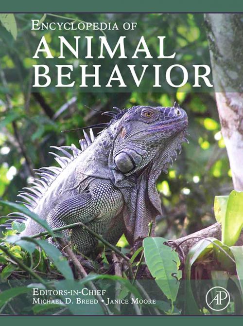 Cover of the book Encyclopedia of Animal Behavior by Michael D. Breed, Janice Moore, Elsevier Science