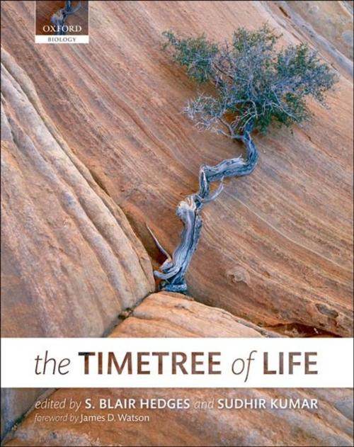 Cover of the book The Timetree of Life by , OUP Oxford