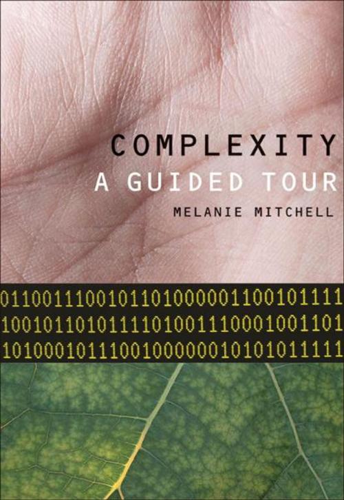 Cover of the book Complexity by Melanie Mitchell, Oxford University Press