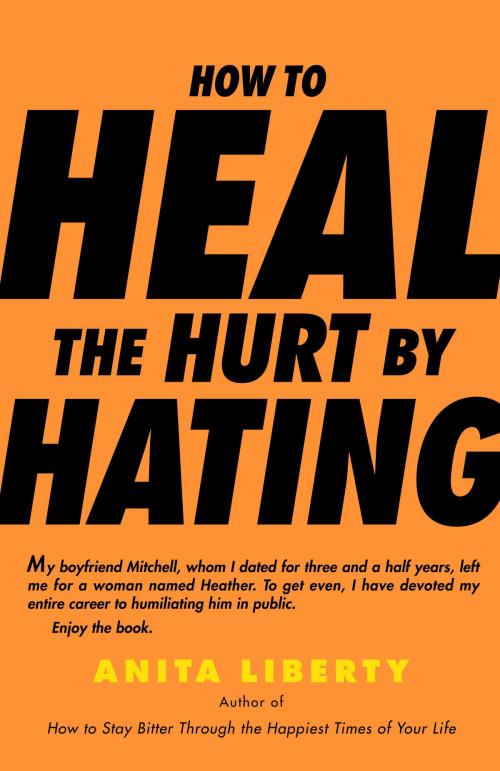 Cover of the book How to Heal the Hurt by Hating by Anita Liberty, Random House Publishing Group