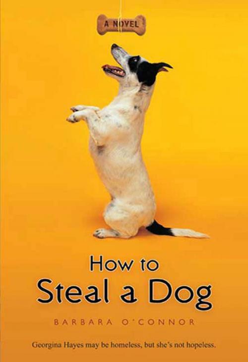 Cover of the book How to Steal a Dog by Barbara O'Connor, Farrar, Straus and Giroux (BYR)
