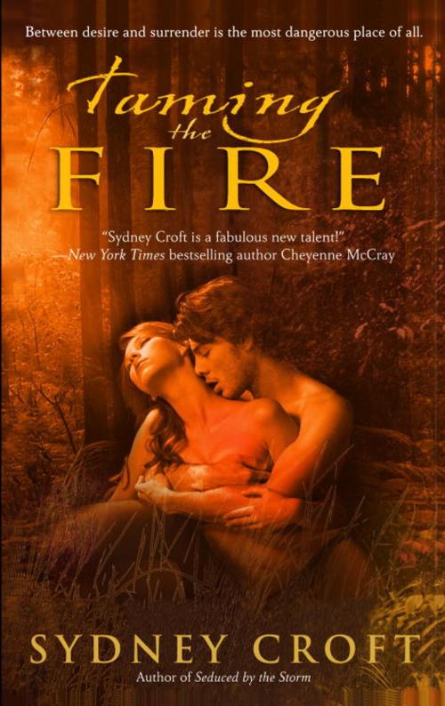 Cover of the book Taming the Fire by Sydney Croft, Random House Publishing Group