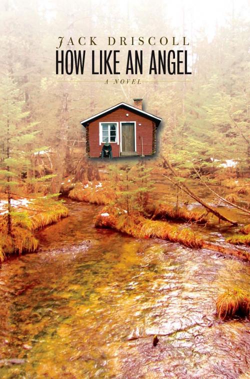 Cover of the book How Like an Angel by Jack Driscoll, University of Michigan Press