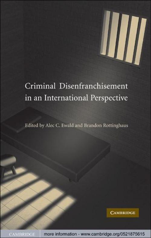 Cover of the book Criminal Disenfranchisement in an International Perspective by , Cambridge University Press