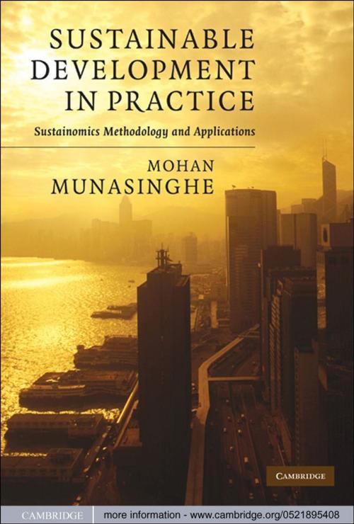 Cover of the book Sustainable Development in Practice by Mohan Munasinghe, Cambridge University Press