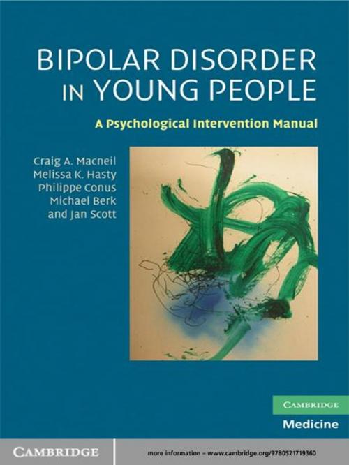Cover of the book Bipolar Disorder in Young People by Craig A. Macneil, Melissa K. Hasty, Philippe Conus, Michael Berk, Jan Scott, Cambridge University Press