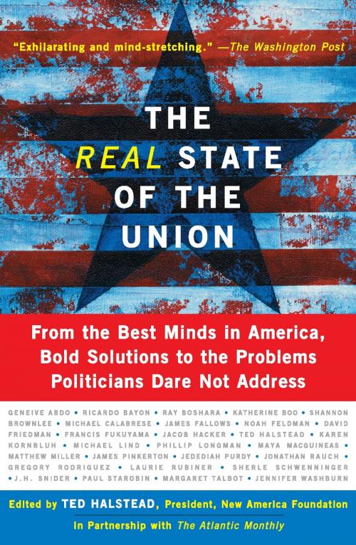 Cover of the book The Real State Of The Union by Ted Halstead, Basic Books