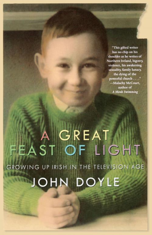 Cover of the book A Great Feast of Light by John Doyle, Hachette Books