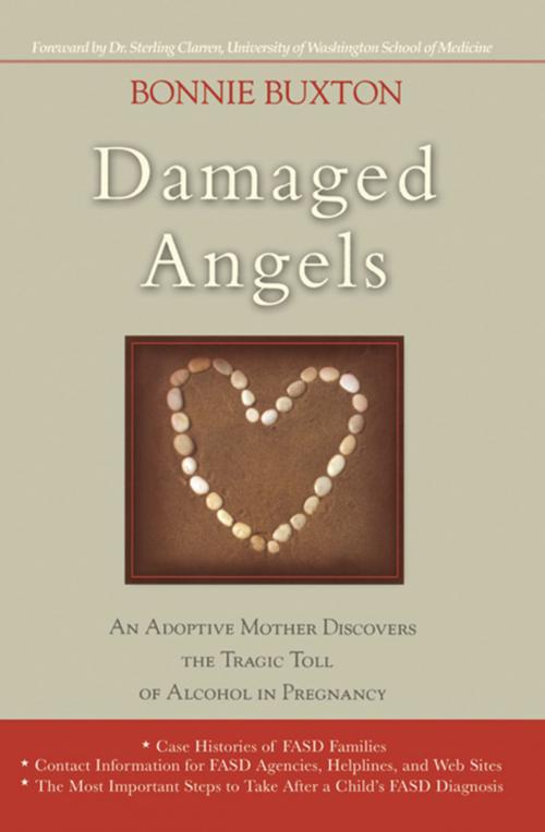 Cover of the book Damaged Angels by Bonnie Buxton, Hachette Books