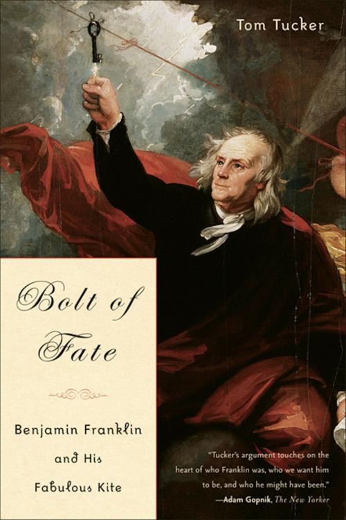 Cover of the book Bolt Of Fate by Tom Tucker, PublicAffairs