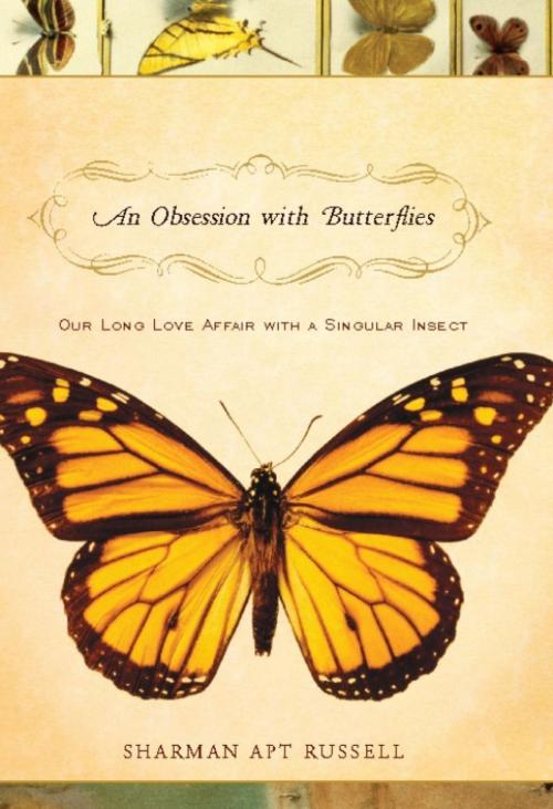 Cover of the book An Obsession With Butterflies by Sharman Apt Russell, Basic Books