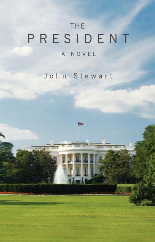 Cover of the book The President by John Stewart, Shepheard-Walwyn