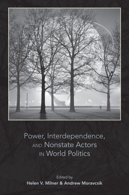 Cover of the book Power, Interdependence, and Nonstate Actors in World Politics by , Princeton University Press