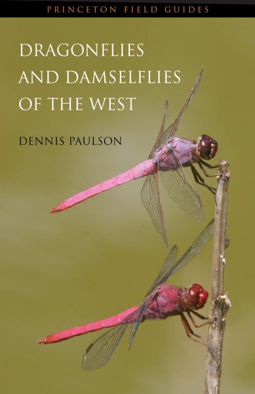 Cover of the book Dragonflies and Damselflies of the West by Dennis Paulson, Princeton University Press