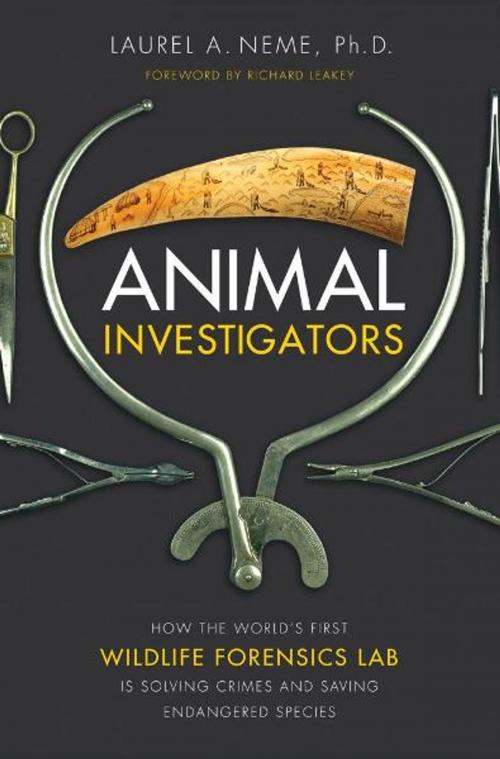 Cover of the book Animal Investigators by Laurel A. Neme, Ph.D., Scribner