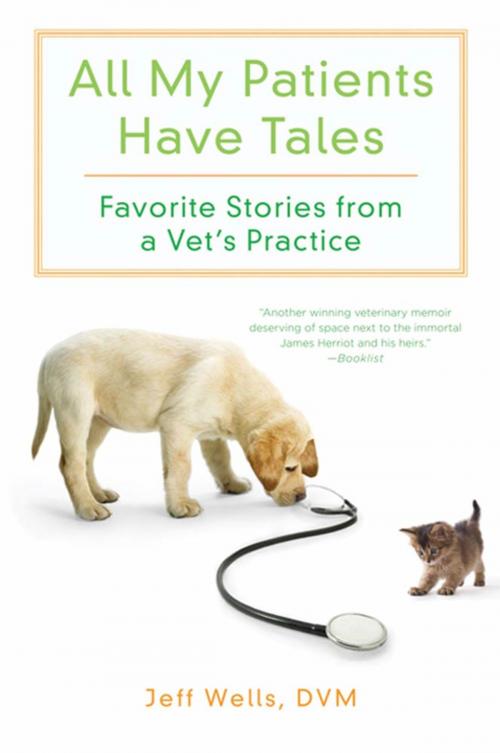 Cover of the book All My Patients Have Tales by Jeff Wells, St. Martin's Press