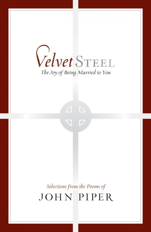 Cover of the book Velvet Steel by John Piper, Crossway