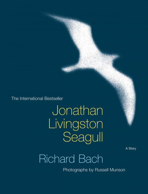 Cover of the book Jonathan Livingston Seagull by Richard Bach, Russell Munson, Scribner