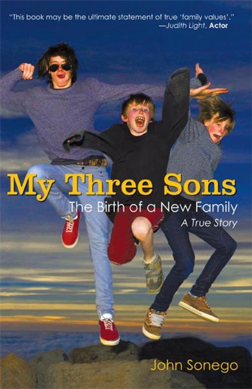 Cover of the book My Three Sons by John Sonego, iUniverse