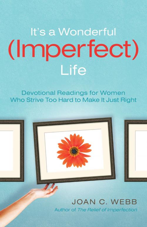 Cover of the book It's a Wonderful (Imperfect) Life by Joan C. Webb, Baker Publishing Group