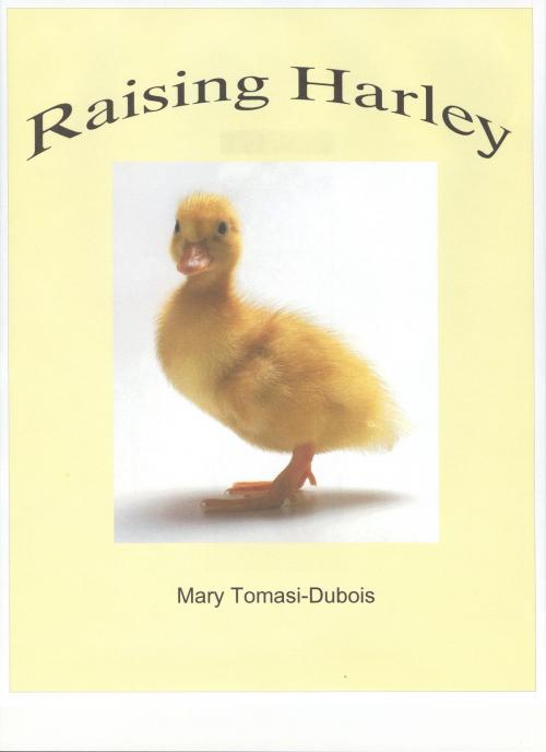 Cover of the book Raising Harley by Mary Tomasi Dubois, Mary Tomasi Dubois