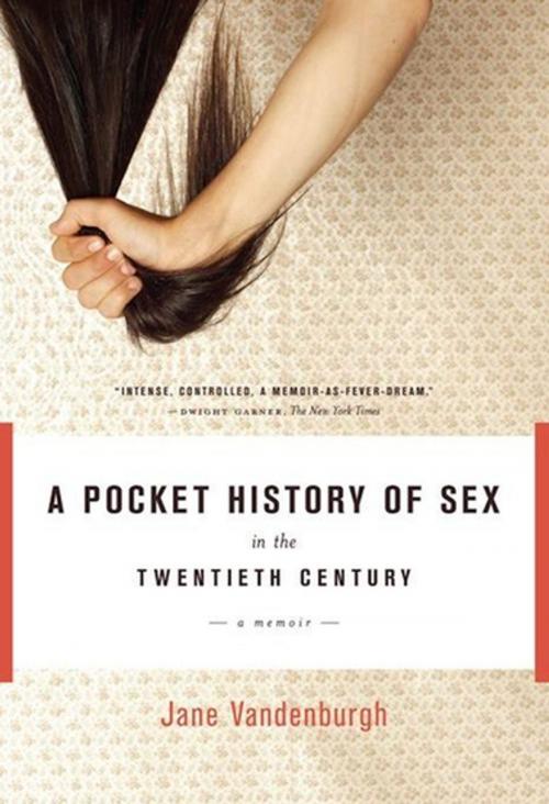 Cover of the book A Pocket History of Sex in the Twentieth Century by Jane Vandenburgh, Counterpoint Press