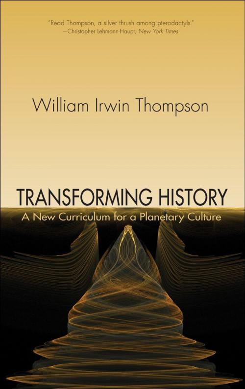 Cover of the book Transforming History by William Irwin Thompson, SteinerBooks