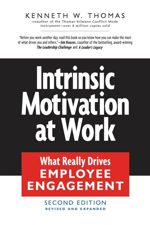 Cover of the book Intrinsic Motivation at Work by Kenneth W. Thomas, Berrett-Koehler Publishers