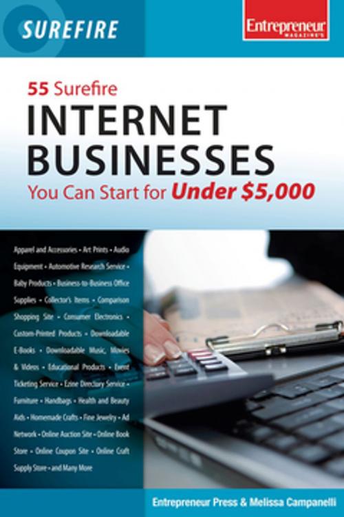 Cover of the book 55 Surefire Internet Businesses You Can Start for Under $5000 by Entrepreneur Press, Entrepreneur Press