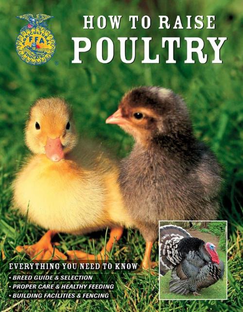 Cover of the book How to Raise Poultry by Christine Heinrichs, Voyageur Press