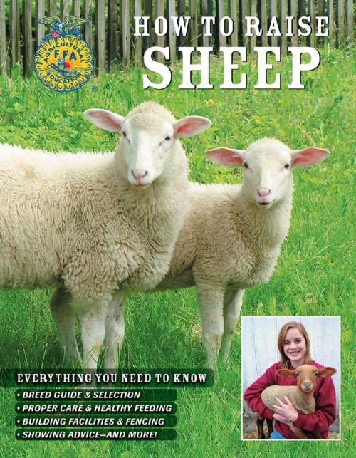 Cover of the book How to Raise Sheep by Philip Hasheider, Voyageur Press