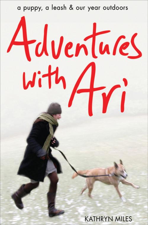 Cover of the book Adventures with Ari by Kathryn Miles, Skyhorse Publishing