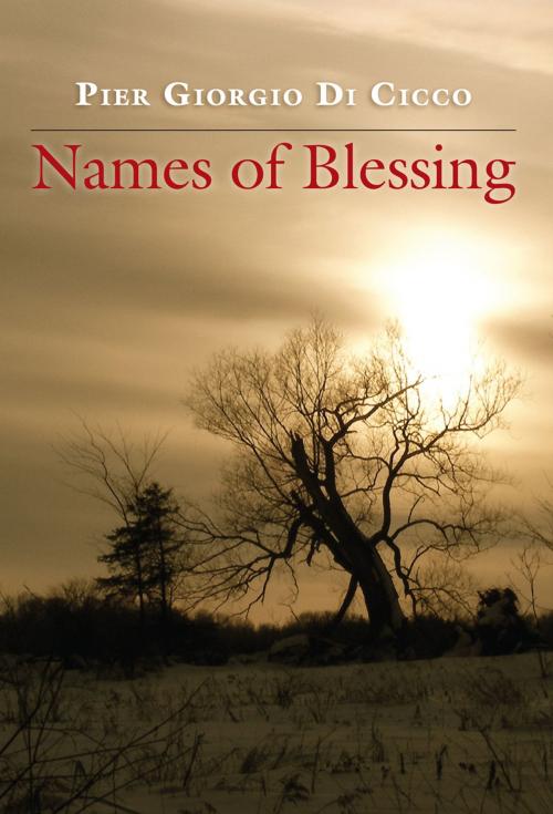 Cover of the book Names of Blessing by Pier Giorgio Di Cicco, Novalis