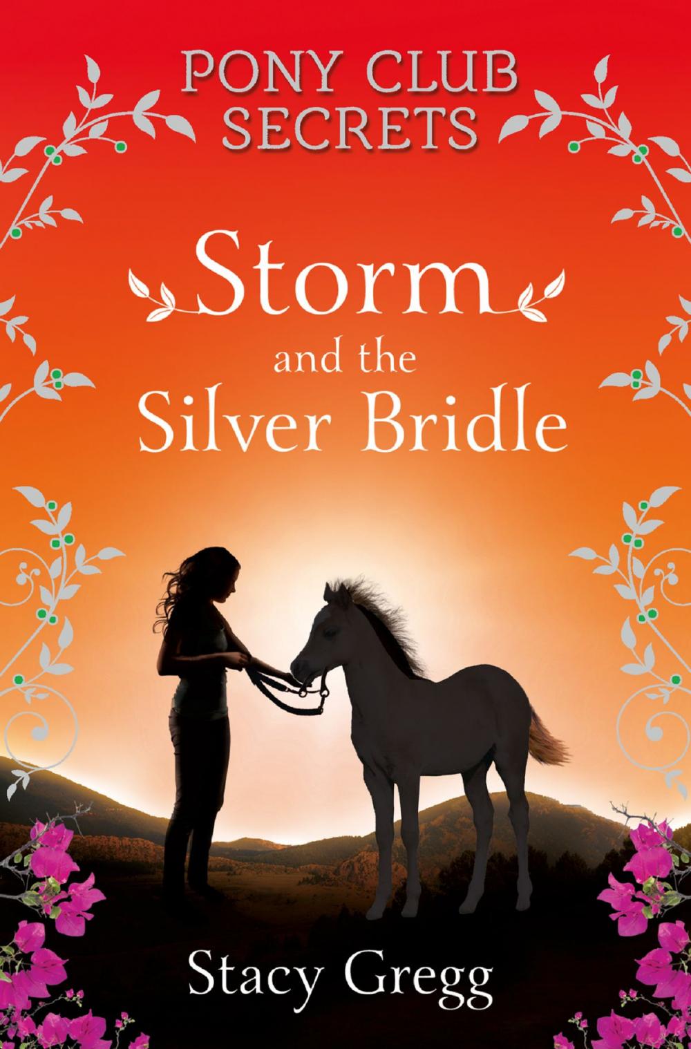 Big bigCover of Storm and the Silver Bridle (Pony Club Secrets, Book 6)