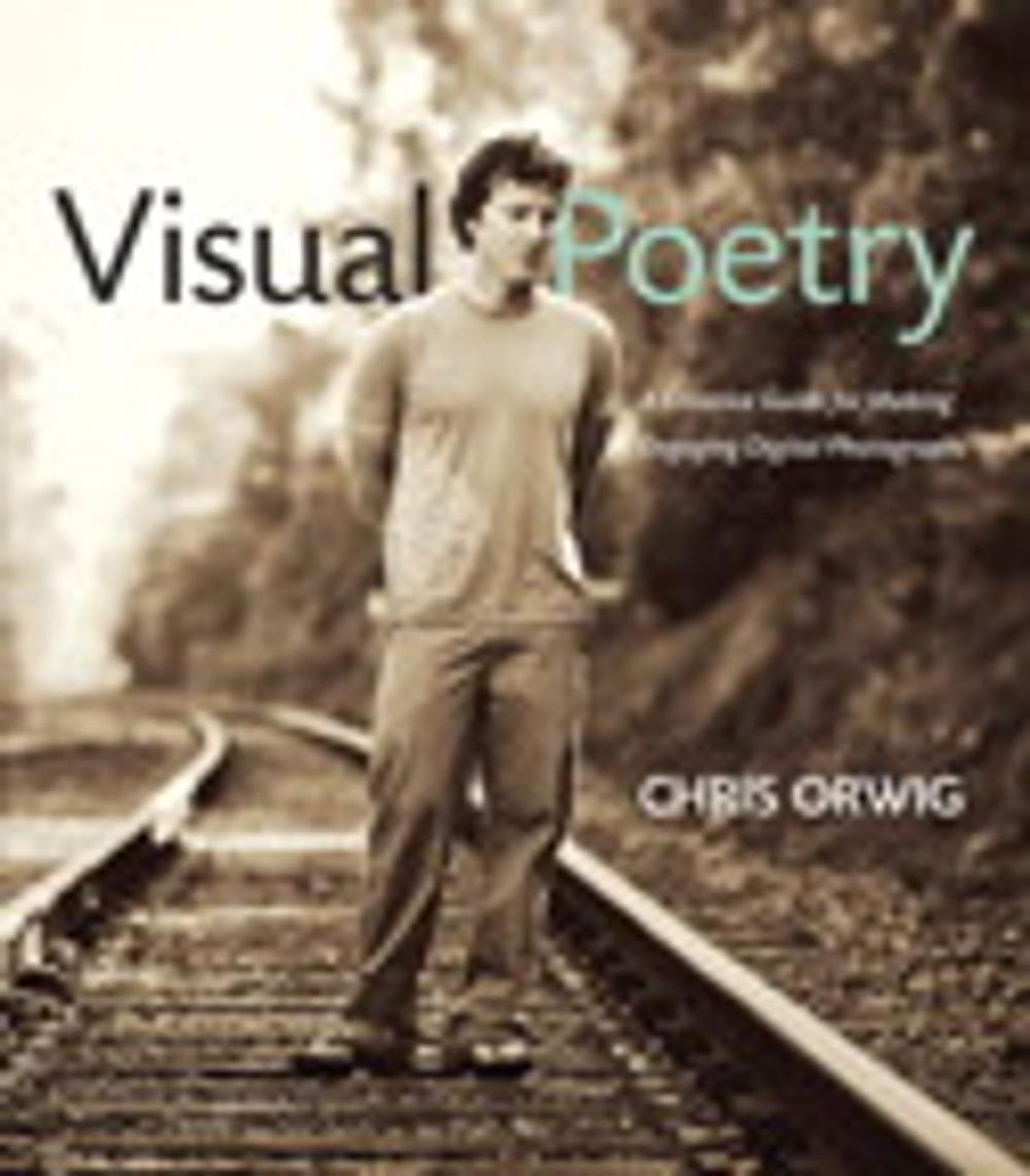 Big bigCover of Visual Poetry