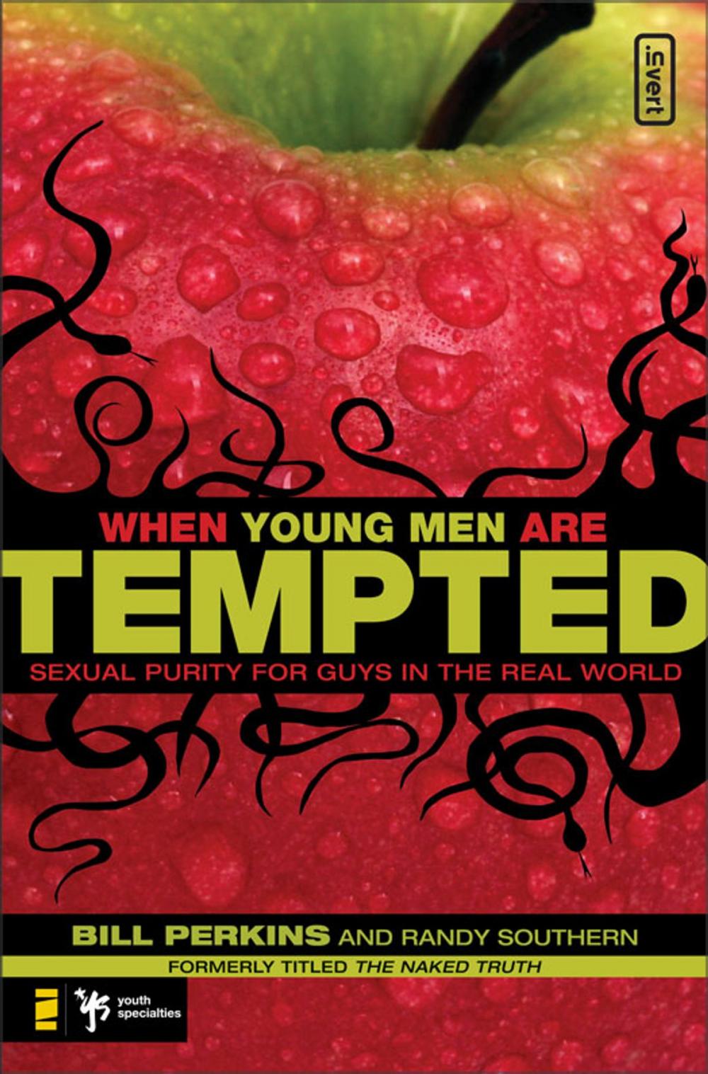 Big bigCover of When Young Men Are Tempted