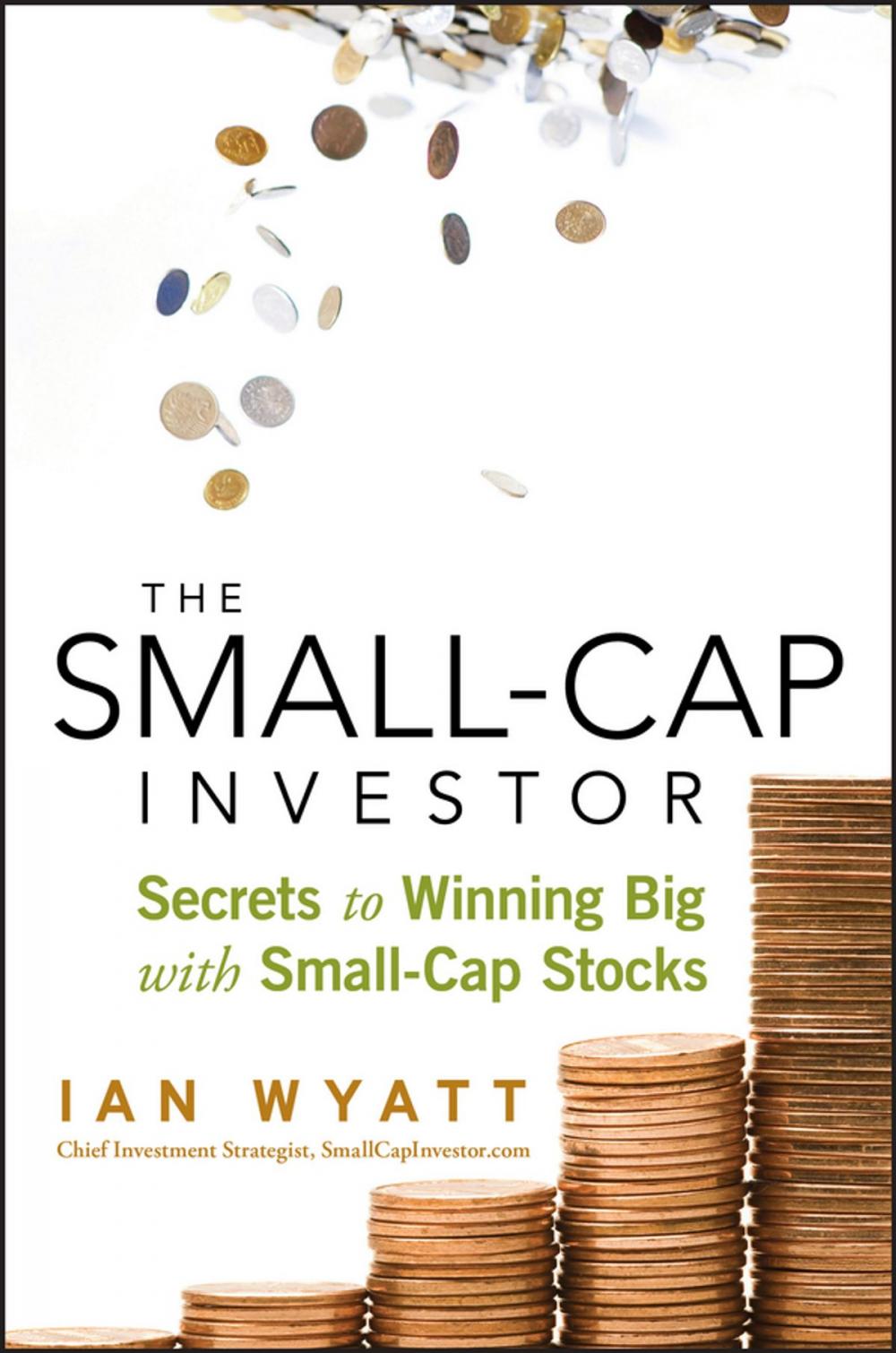 Big bigCover of The Small-Cap Investor