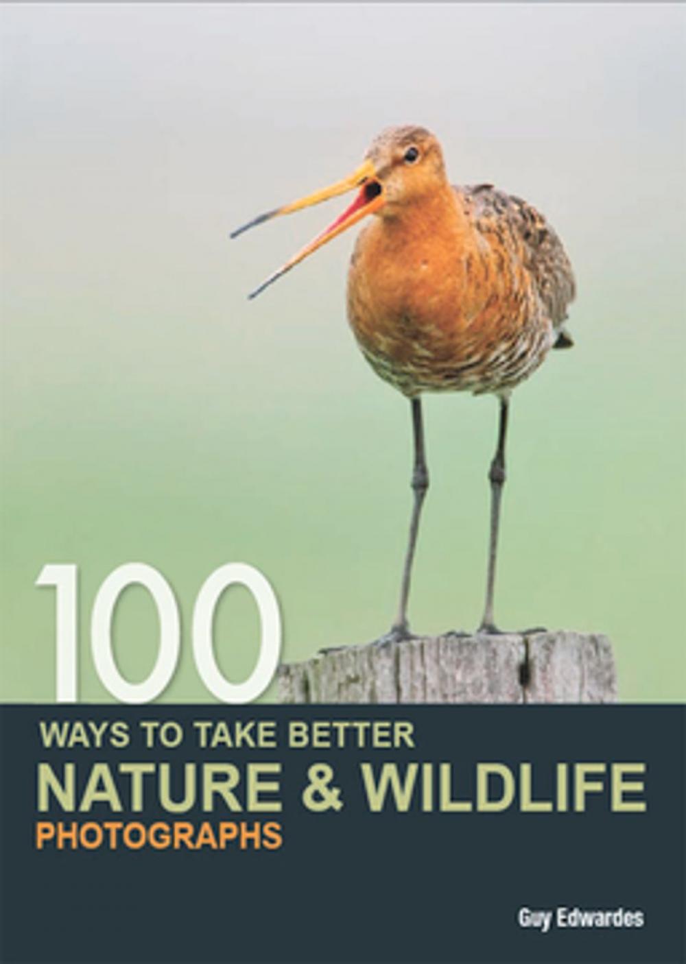 Big bigCover of 100 Ways to Take Better Nature & Wildlife Photographs