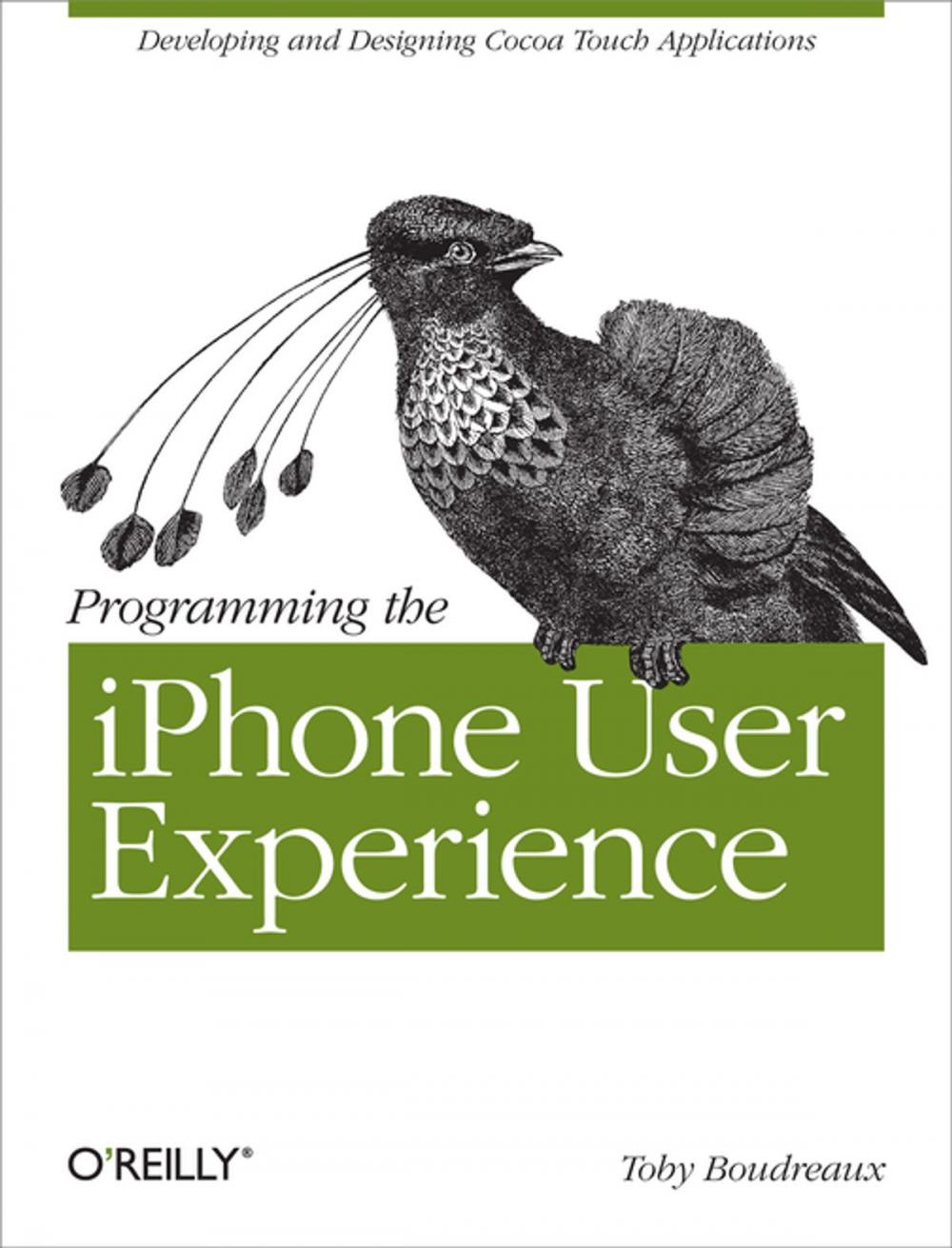 Big bigCover of Programming the iPhone User Experience