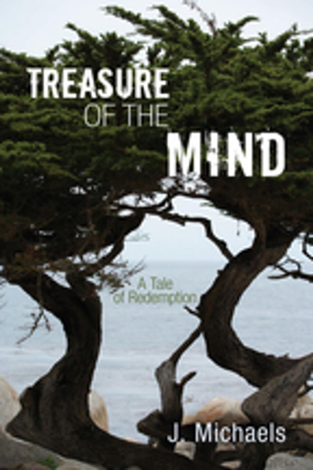 Big bigCover of Treasure of the Mind