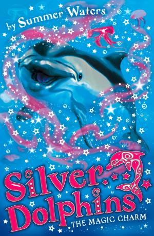 Cover of the book The Magic Charm (Silver Dolphins, Book 1) by Walter Stewart