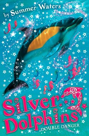 Cover of the book Double Danger (Silver Dolphins, Book 4) by Kathleen Olmstead