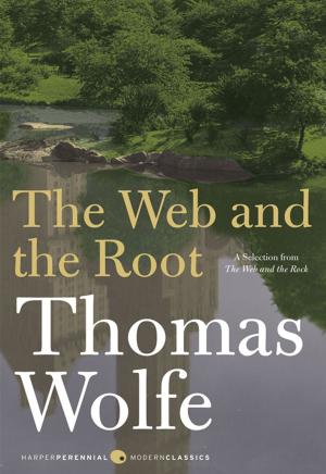 bigCover of the book The Web and The Root by 