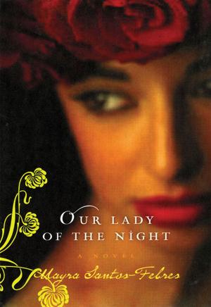 bigCover of the book Our Lady of the Night by 