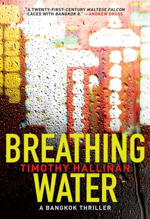 Book cover of Breathing Water