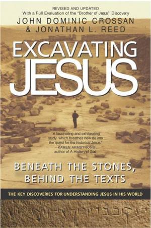 Cover of the book Excavating Jesus by Dr. Steve Joel Moffett, Sr.