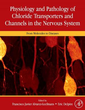 Cover of the book Physiology and Pathology of Chloride Transporters and Channels in the Nervous System by Peter Smith