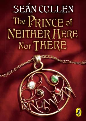 Cover of the book The Prince of Neither Here Nor There by Amy Bronee