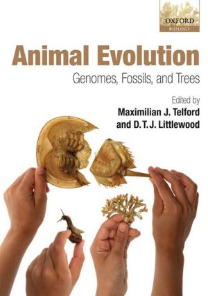 Book cover of Animal Evolution