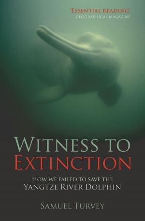 Cover of the book Witness to Extinction by Mónica García-Salmones Rovira